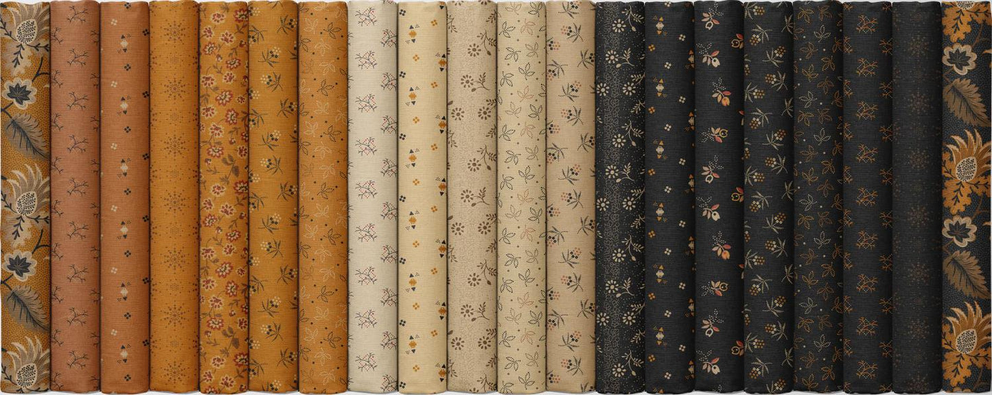 Cheddar and Coal 3 by Pam Buda Beige Daisy # R171479D-BEIGE