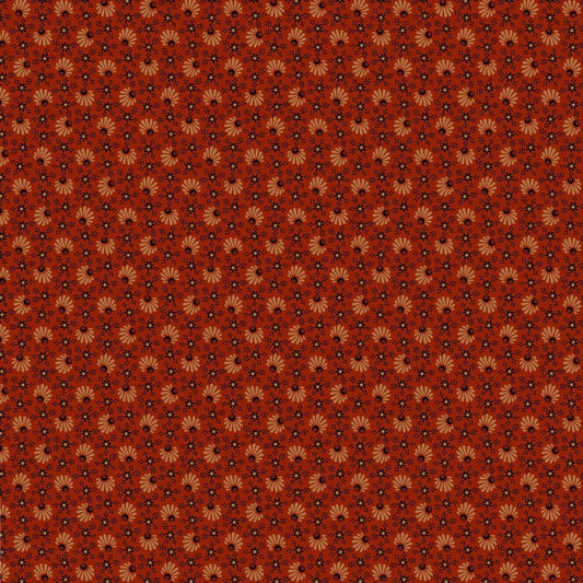 Hill Country Indian Paint by Paula Barnes