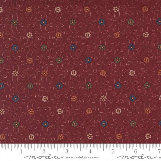 Hope Blooms by Kansas Troubles Rose 9674 13