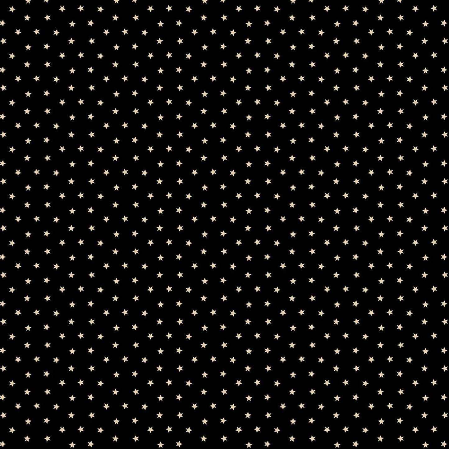 Paula's Companion 2 by Paula Barnes Black Petite Star # R220303-BLACK