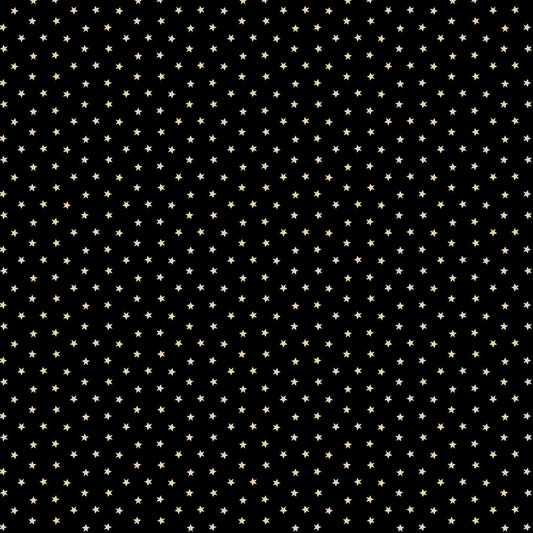 Paula's Companion 2 by Paula Barnes Black Petite Star # R220303-BLACK