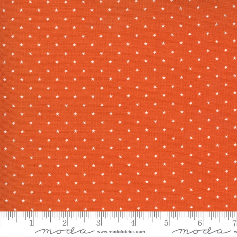 Midnight Magic 2 by April Rosenthal Twinkle Pumpkin 24106 13