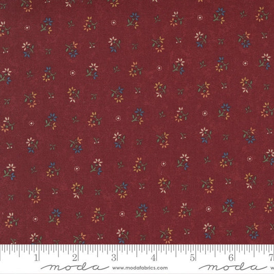 Hope Blooms by Kansas Troubles Rose 9676 13