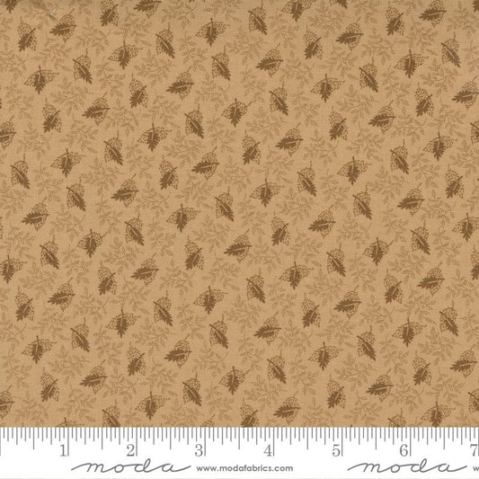 Rose by Jo Morton Ferns Cream Tonal 38126 11