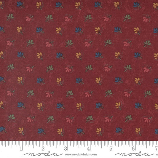 Maple Hill by Kansas Troubles Sugar Maple 9684 13