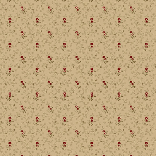Butternut and Peppercorn by Pam Buda Beige Nutmeg # R170526-BEIGE