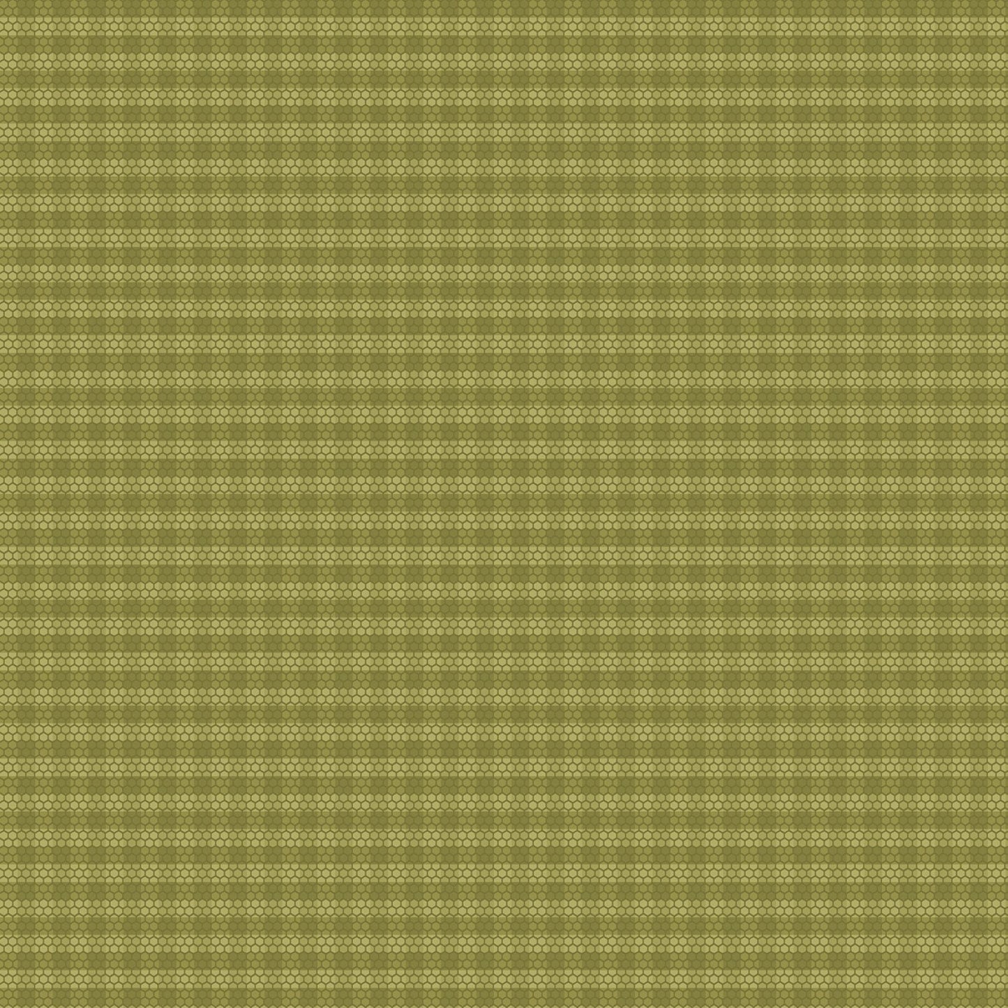 Golden Era by Paula Barnes Green Plaid Dot # R220643-GREEN