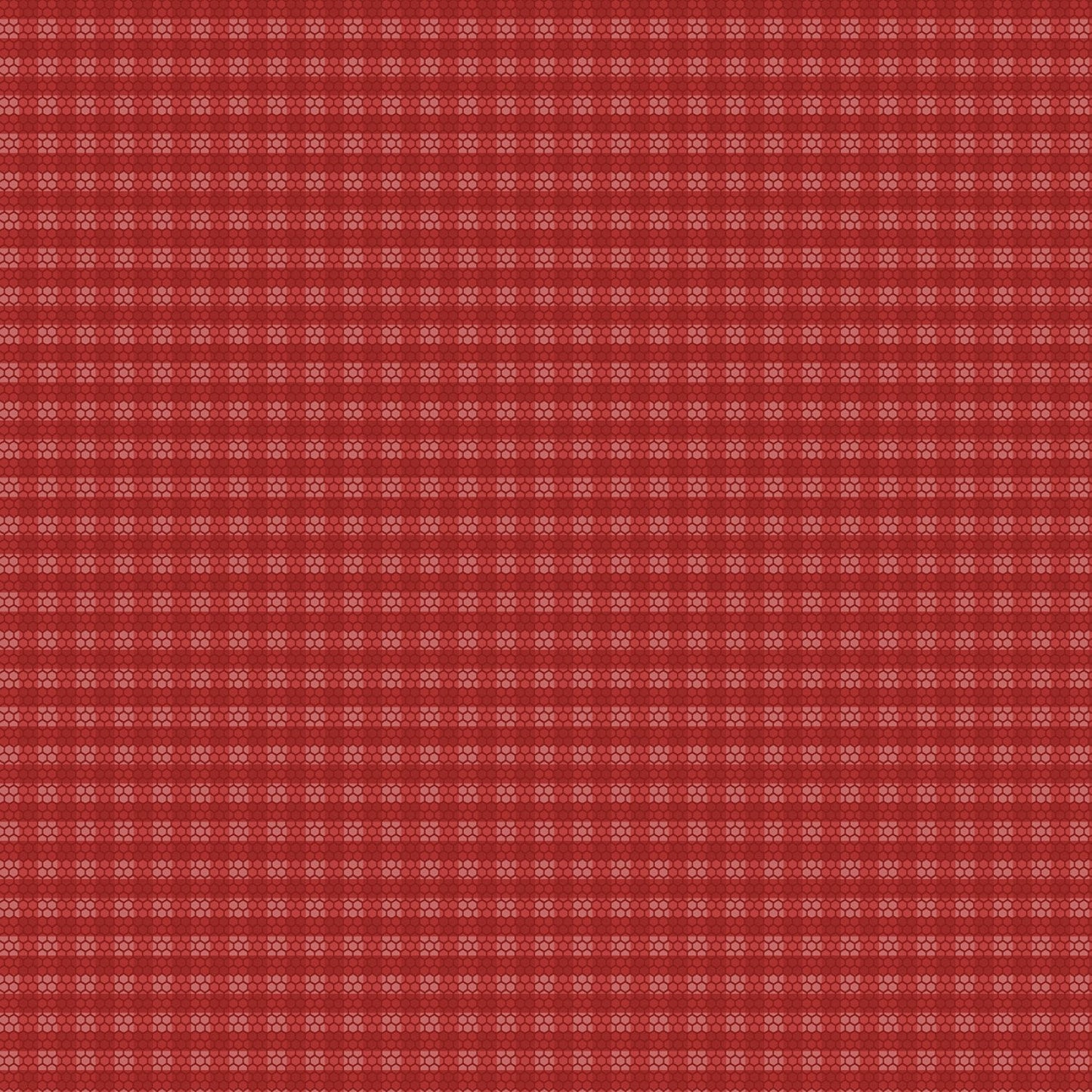 Golden Era by Paula Barnes Red Plaid Dot # R220643-RED