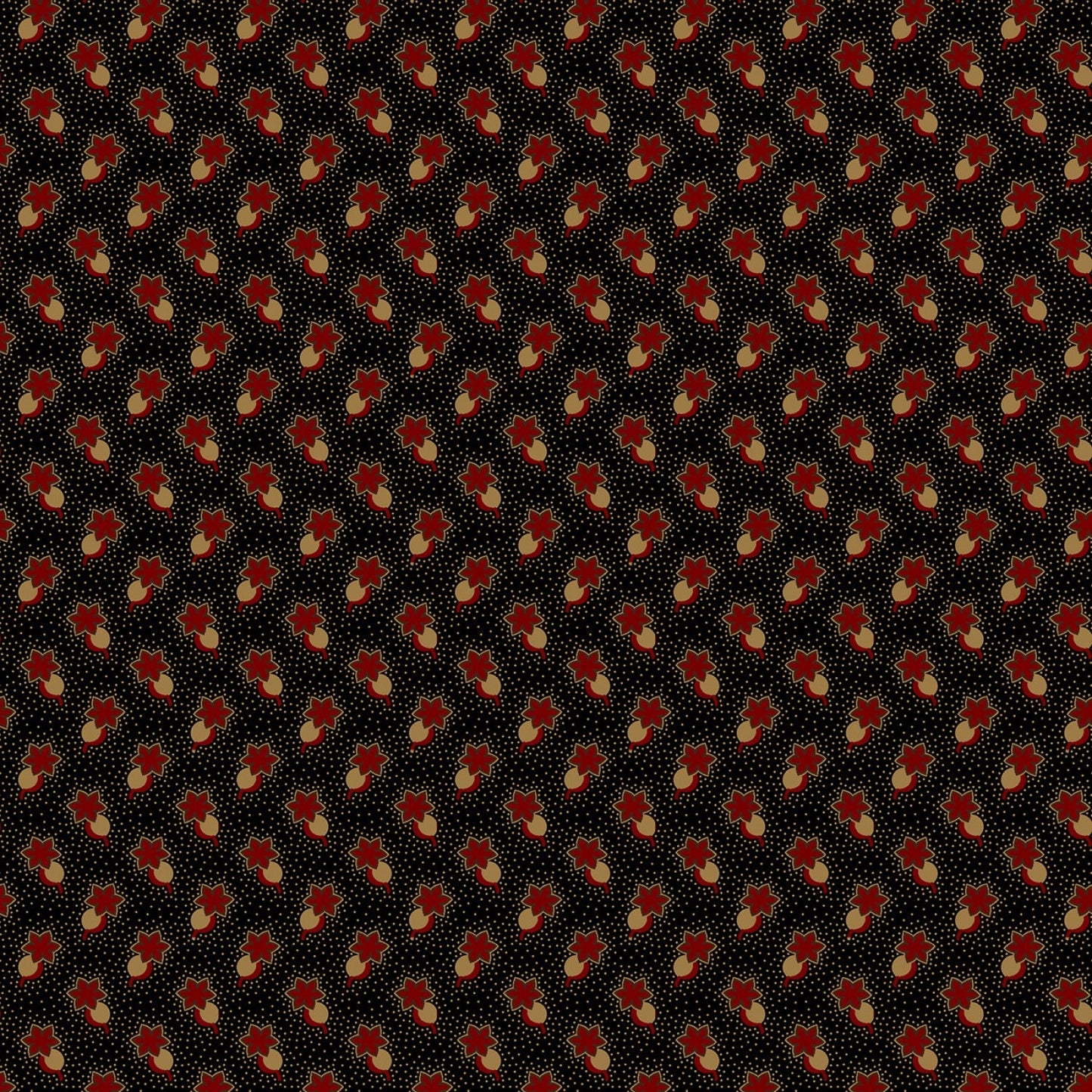 Butternut & Peppercorn 2 by Pam Buda Black Circle Star # R170755-BLACK