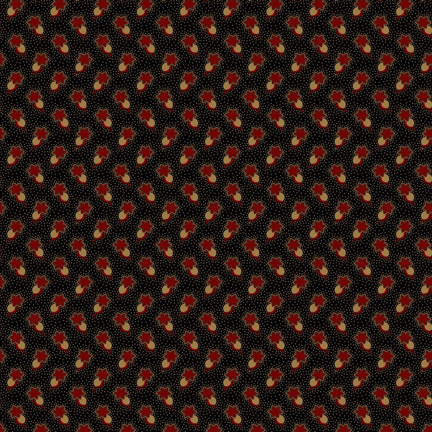Butternut & Peppercorn 2 by Pam Buda Black Circle Star # R170755-BLACK