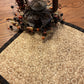 Primitive Farmhouse Autumn Star Table Topper Item #1933