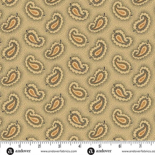 Carolina by Jo Morton Paisley A-5314-K