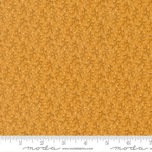 Pamelias Path by Betsy Chutchian Cheddar 47557 16