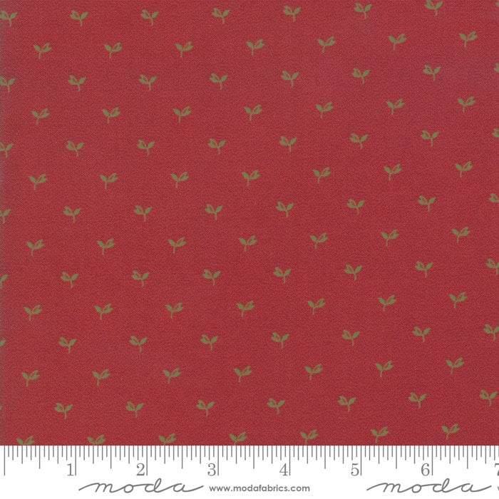 Glad Tidings By Jo Morton Turkey Red 38094 21