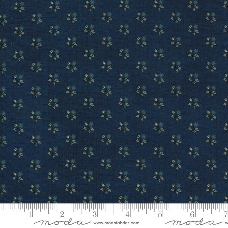 Marias Sky by Betsy Chutchian  Indigo 31625 11