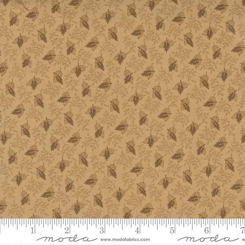 Rose by Jo Morton Ferns Cream Tonal 38126 11