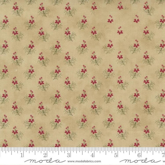 Poinsettia Plaza by 3 Sisters Parchment 44297 21