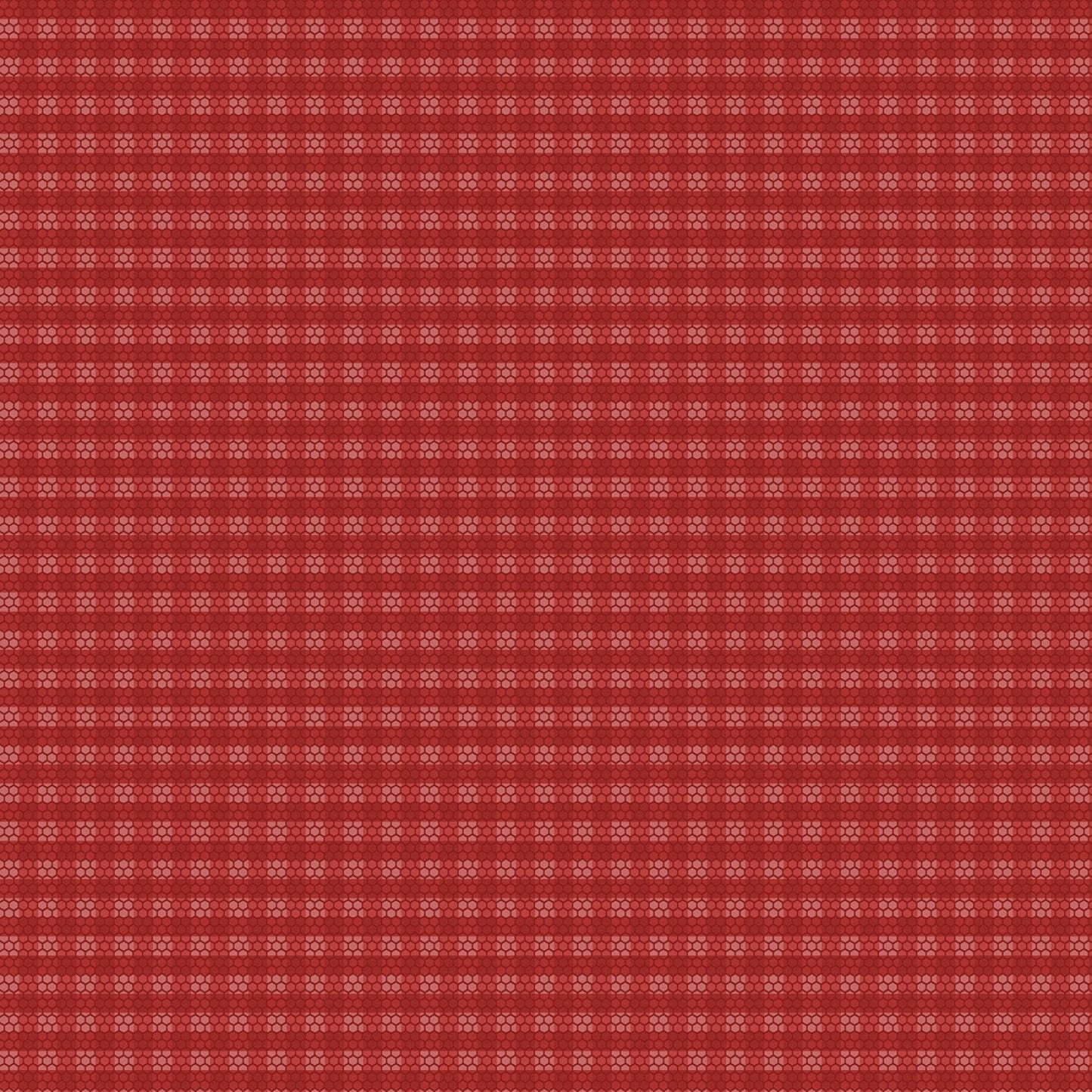 Golden Era by Paula Barnes Red Plaid Dot # R220643-RED