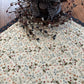 Easter Bunny Primitive Farmhouse Table Topper Item #1844